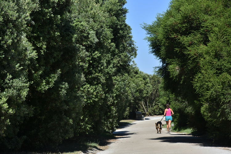 City Park - Gardens and Parks