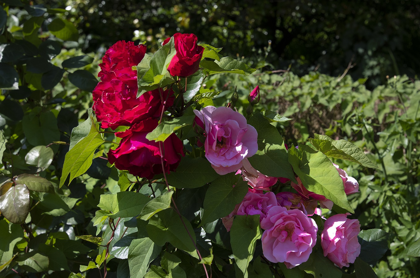 Museu Romântico - Museums & Thematic Centres