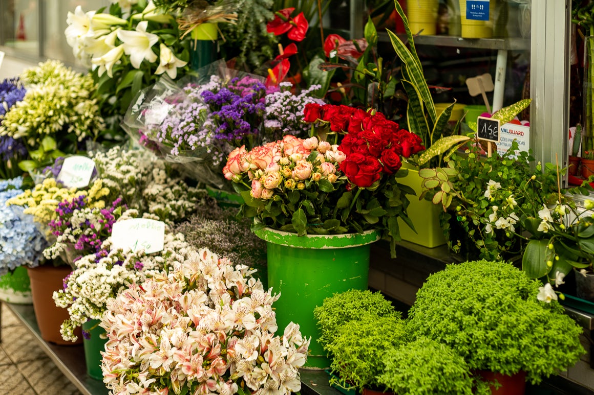 Foz Market - Fairs and Markets