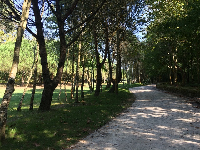 City Park - Gardens and Parks