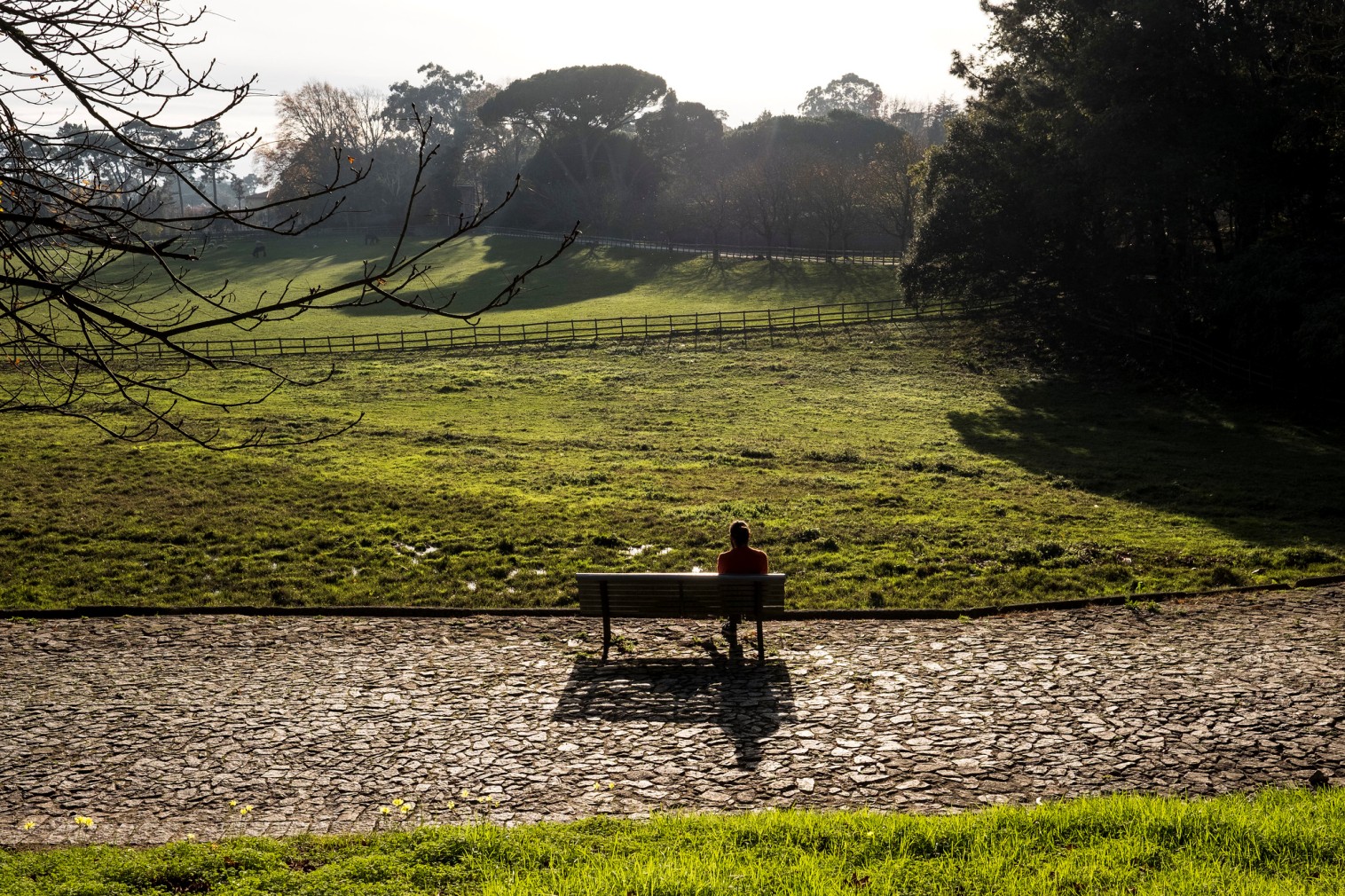 Serralves Park - Gardens and Parks