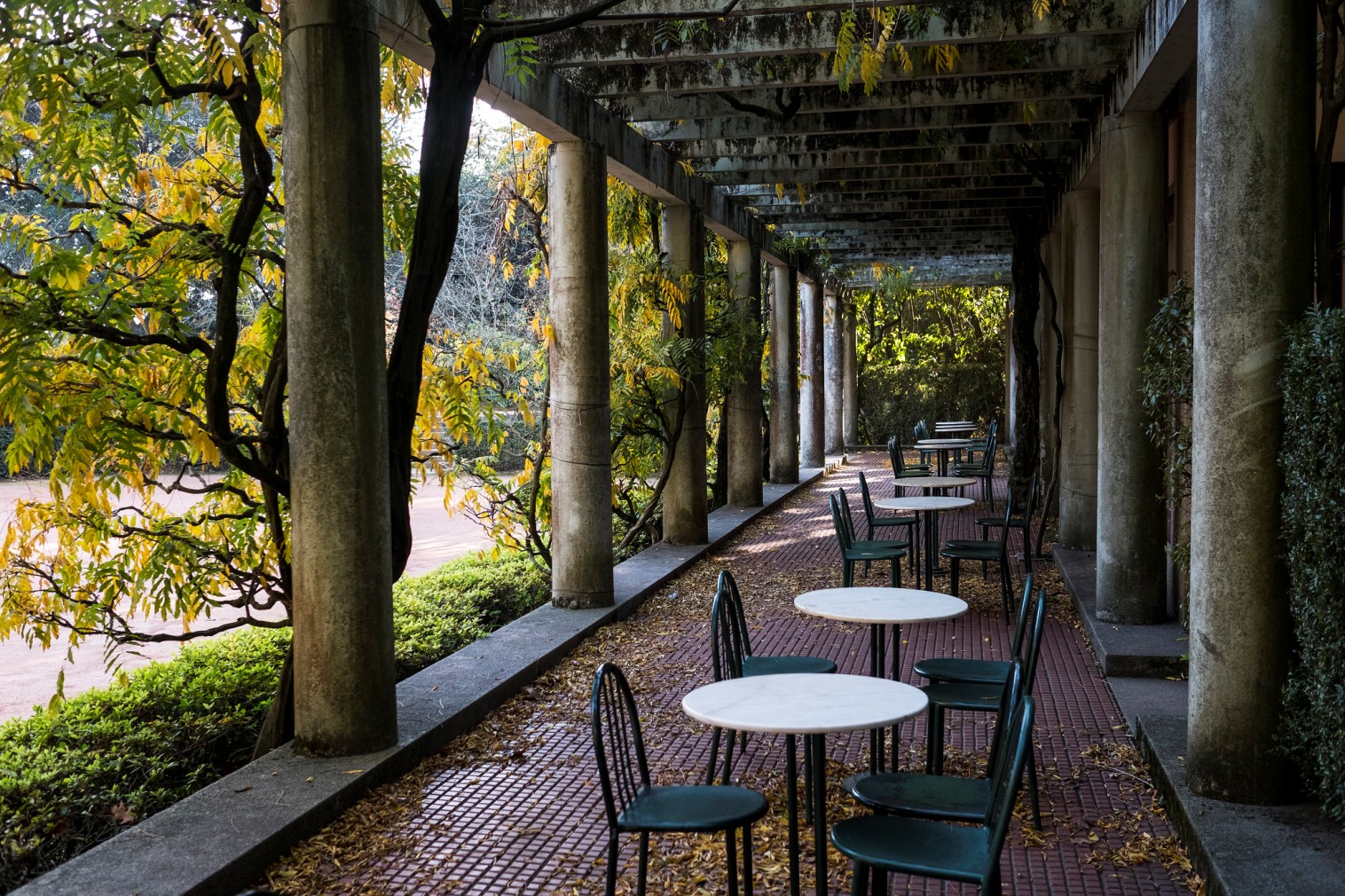 Serralves Park - Gardens and Parks