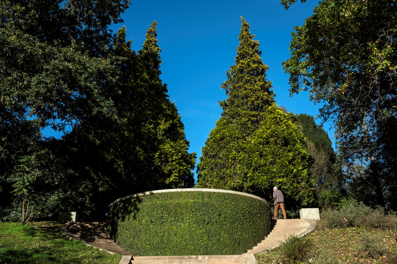 Serralves Park - Gardens and Parks