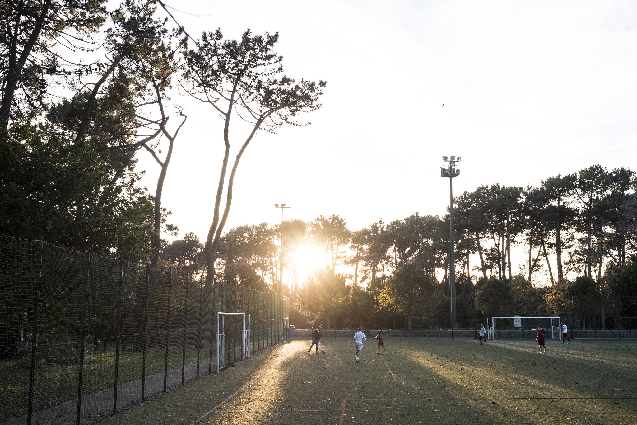 City Park - Gardens and Parks