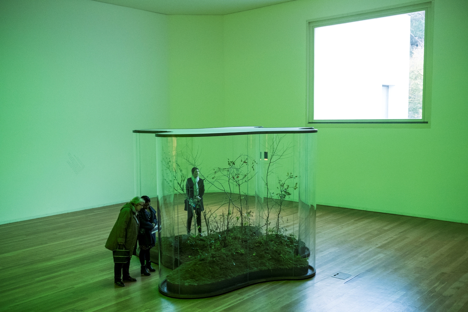 The Serralves Museum - Museums & Thematic Centres