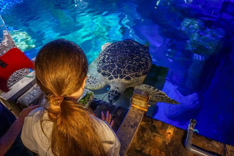 SEA LIFE Porto - Museums & Thematic Centres