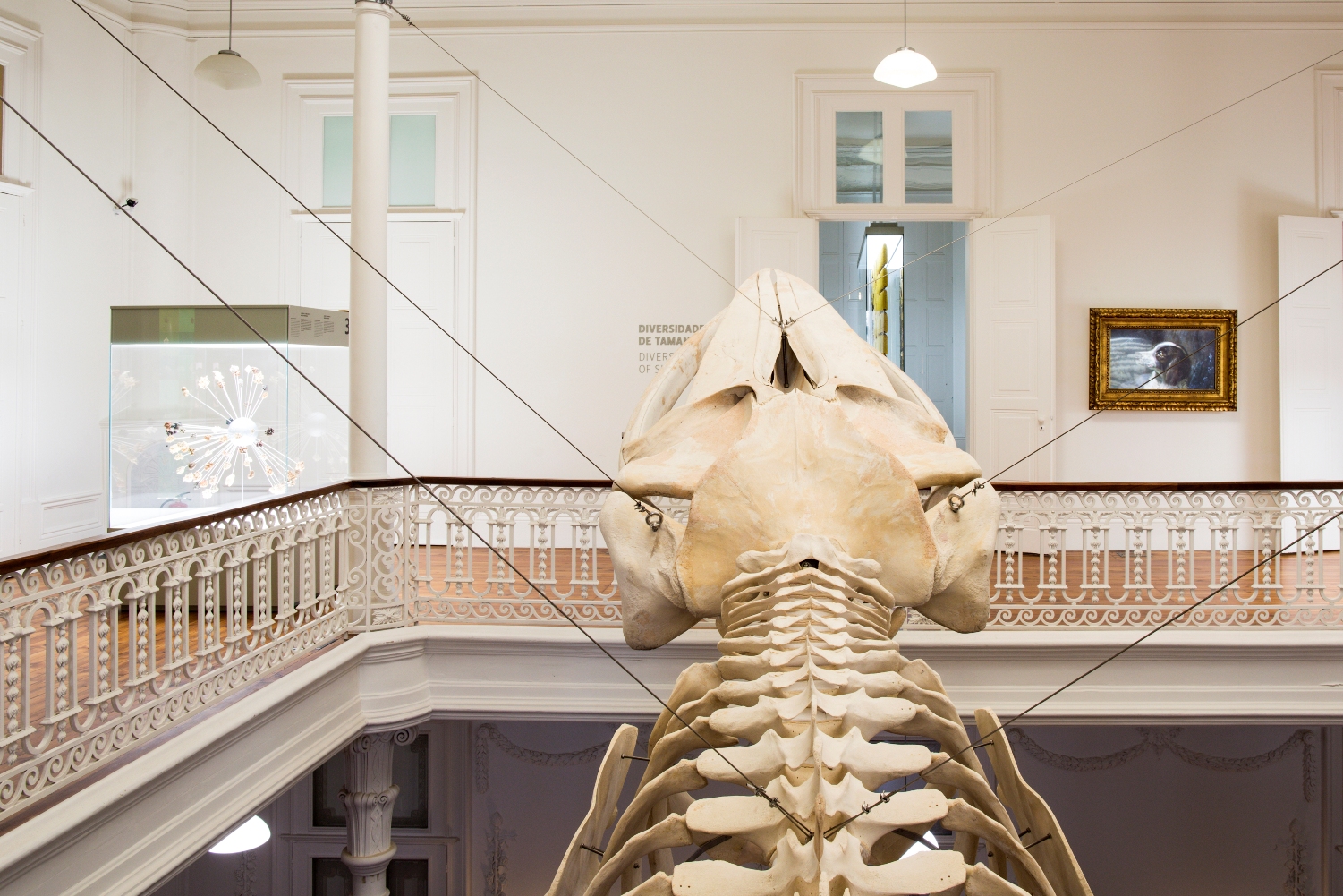 Biodiversity Gallery - Museums & Thematic Centres