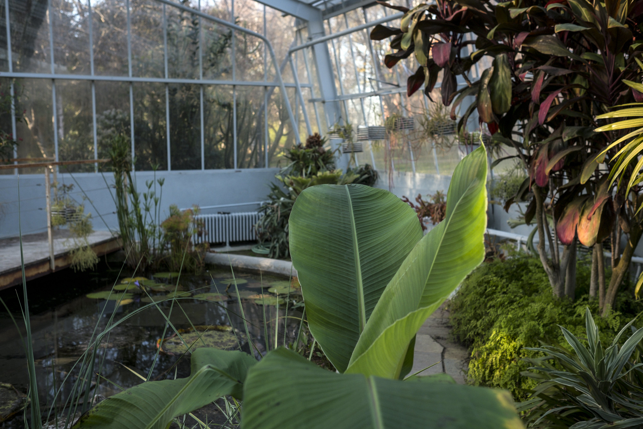 Botanical Garden - Gardens and Parks