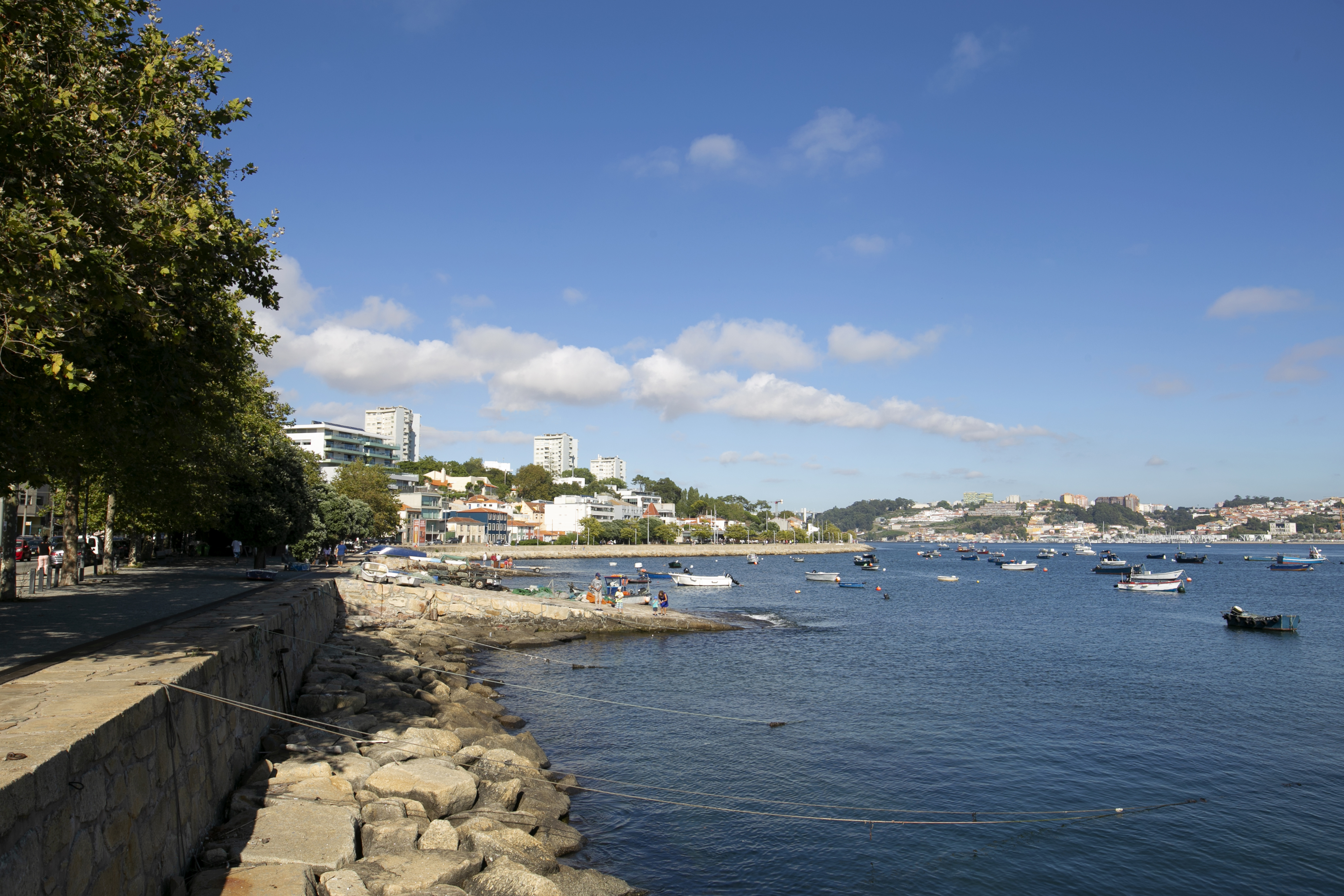 Porto's Viewpoints  - Roads and squares