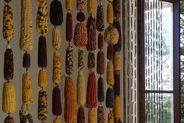 Biodiversity Gallery - Museums & Thematic Centres