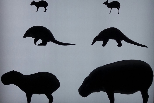 Biodiversity Gallery - Museums & Thematic Centres