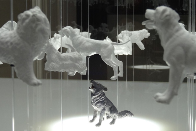 Biodiversity Gallery - Museums & Thematic Centres