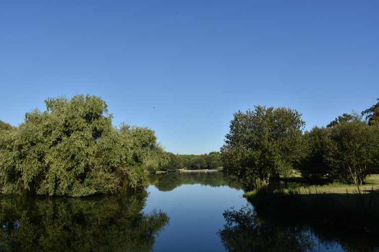 City Park - Gardens and Parks