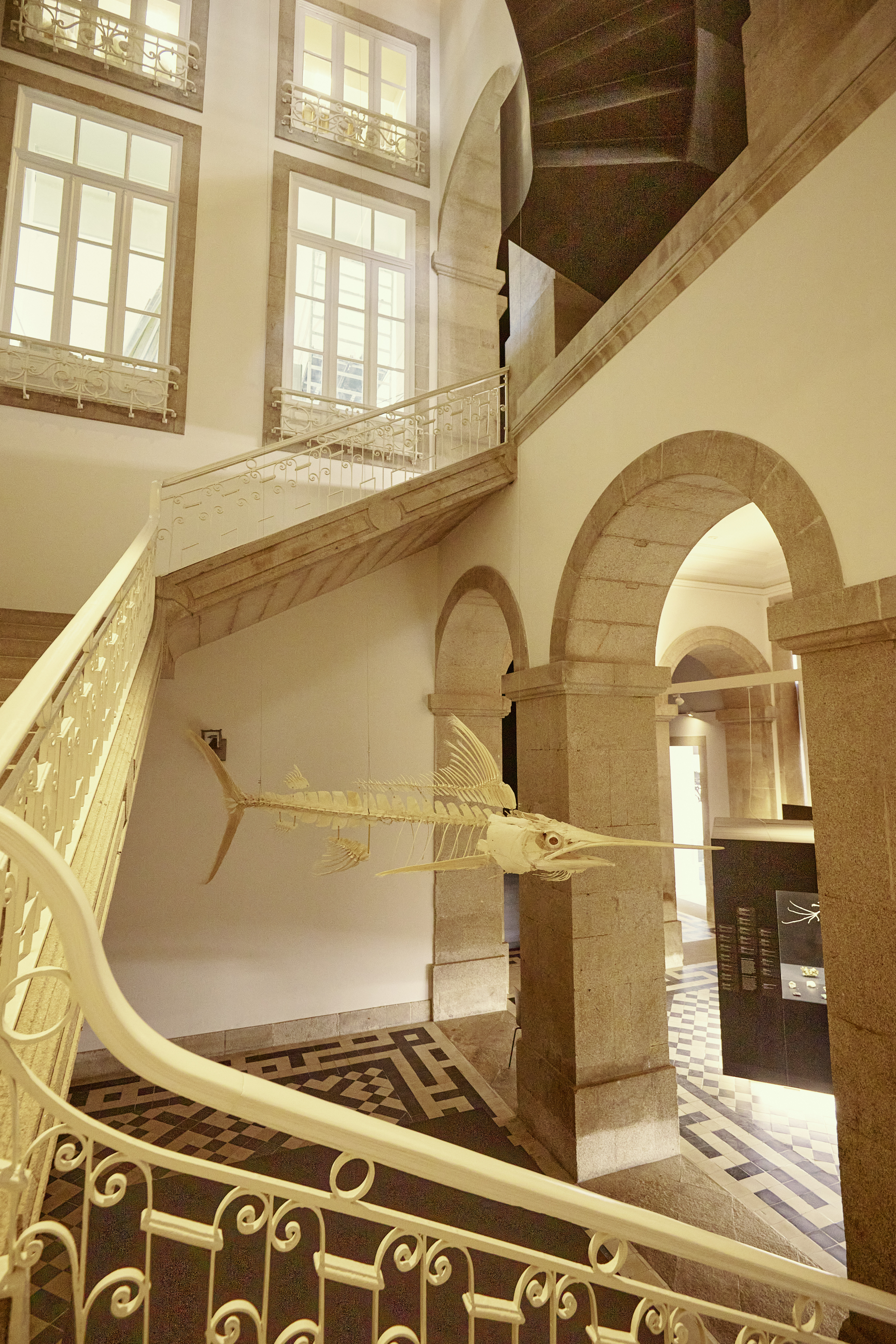 Natural History Museum of the Porto University - Museums & Thematic Centres