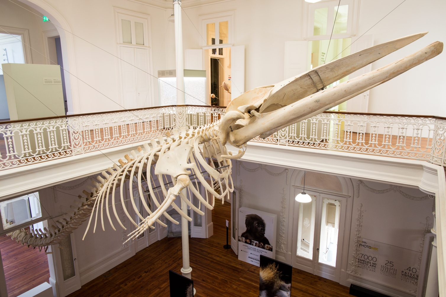 Biodiversity Gallery - Museums & Thematic Centres