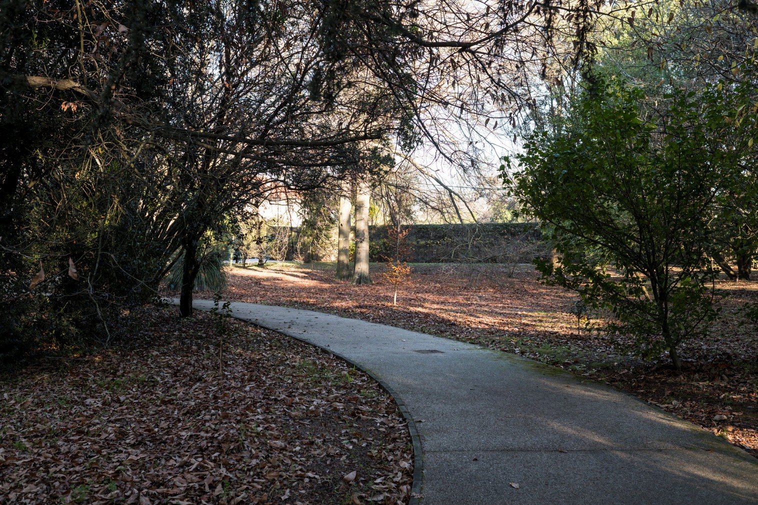Botanical Garden - Gardens and Parks