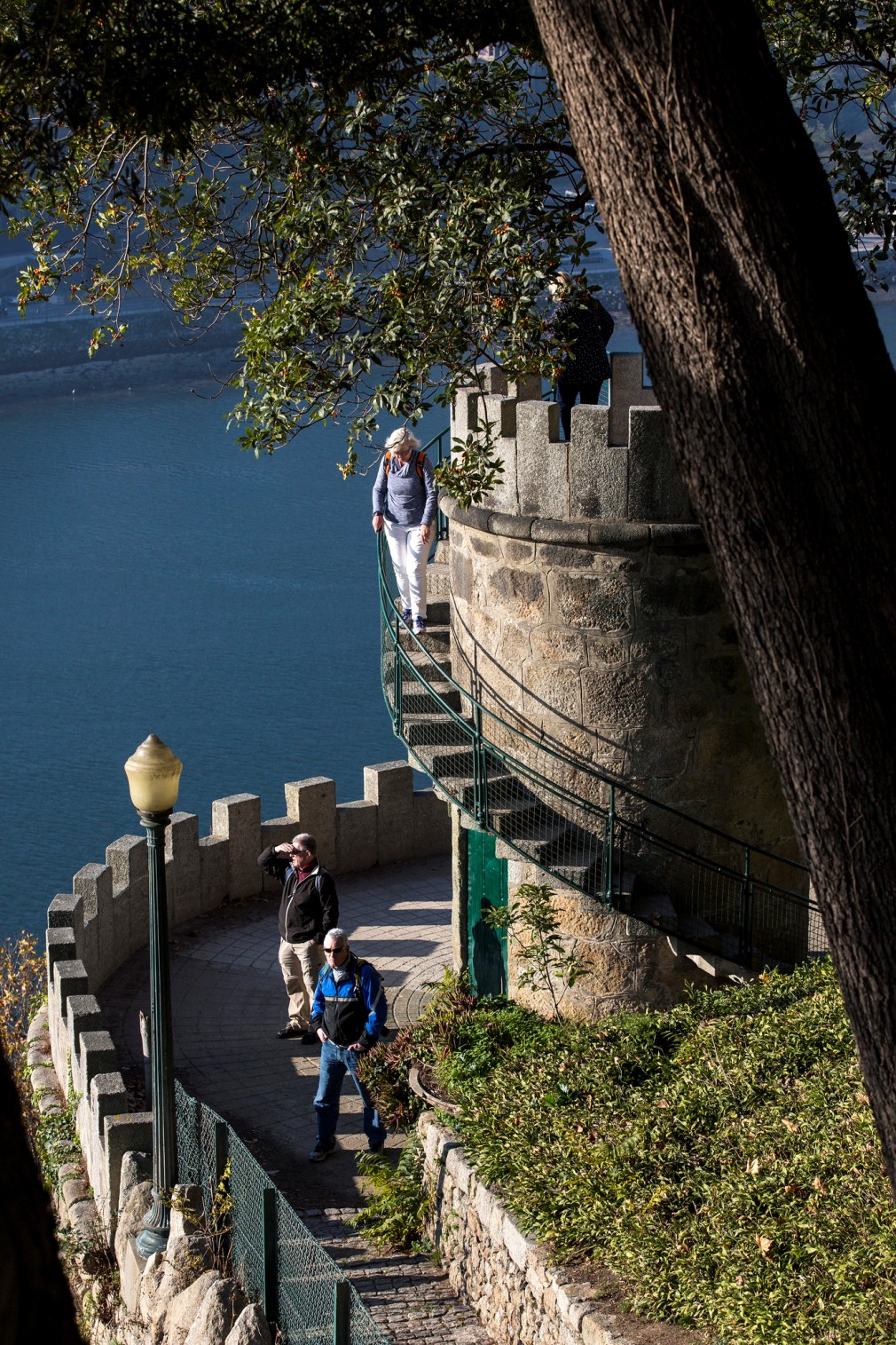 Palácio de Cristal Gardens - Gardens and Parks