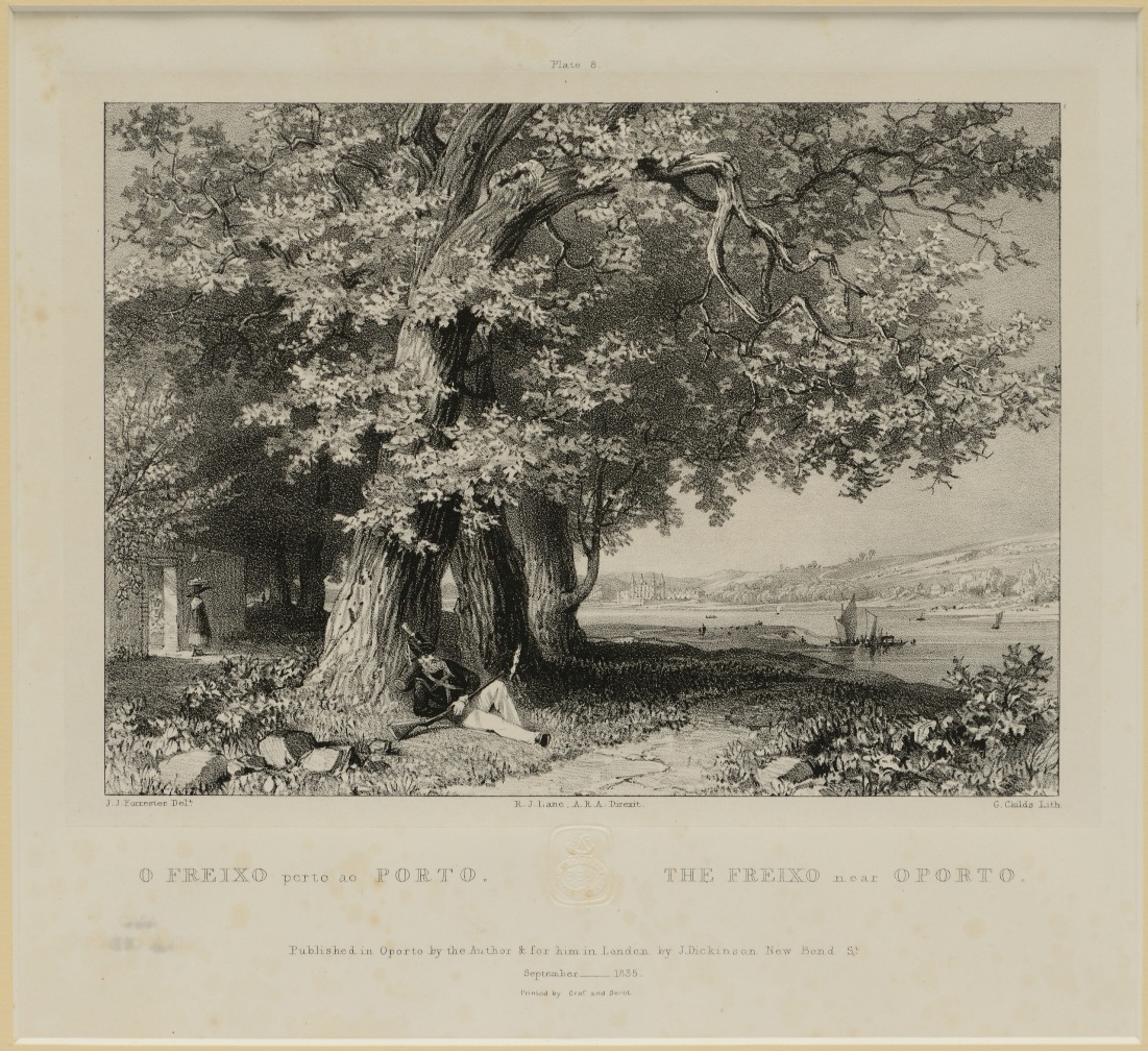 Museu Romântico - Museums & Thematic Centres