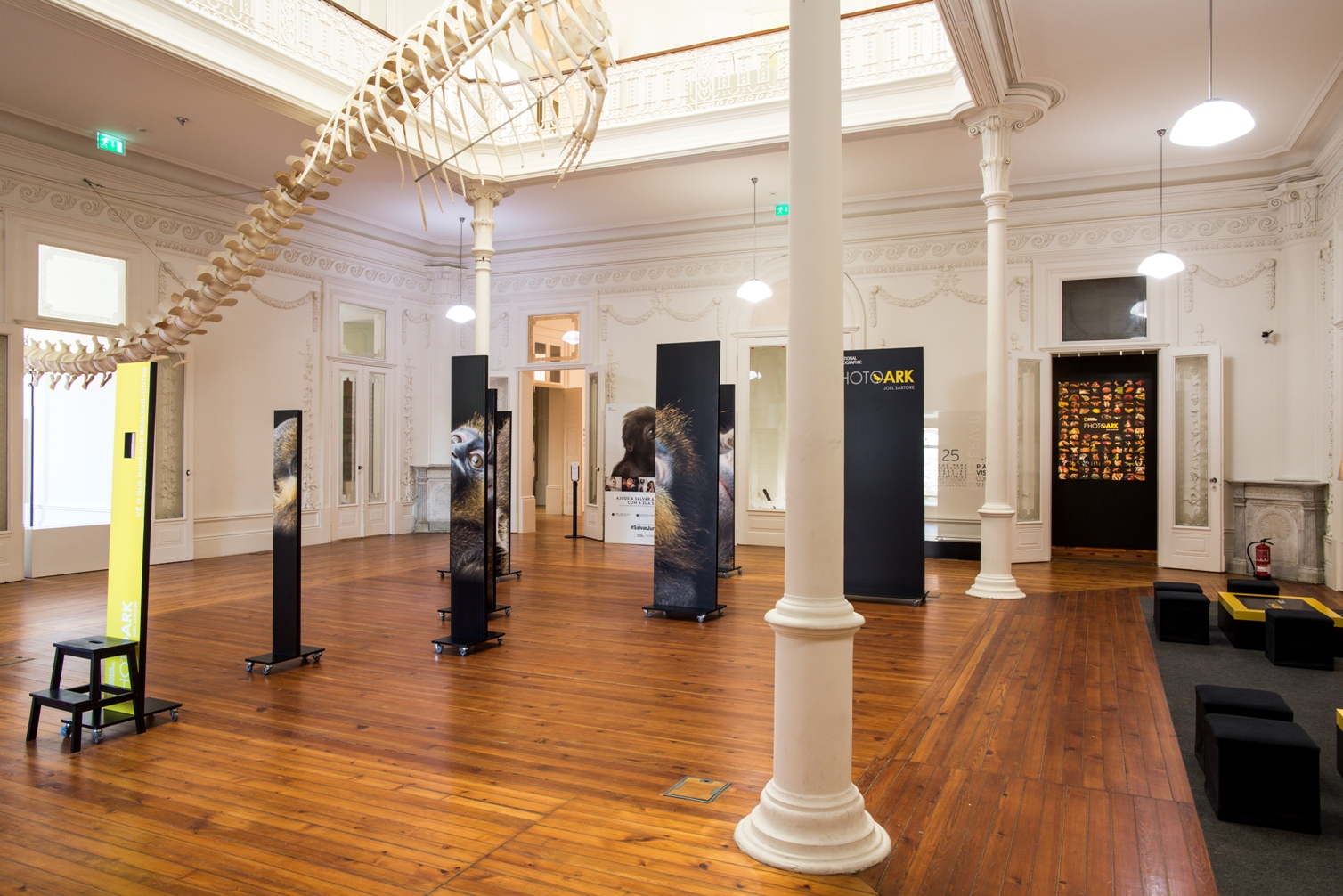 Biodiversity Gallery - Museums & Thematic Centres