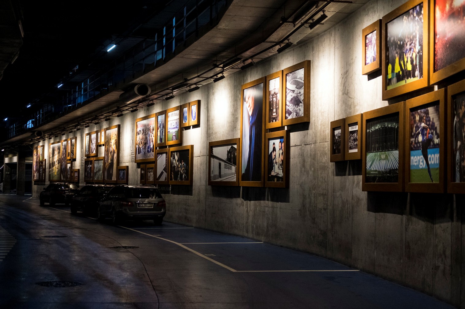 Estádio do Dragão & FC Porto Museum - Sports facility