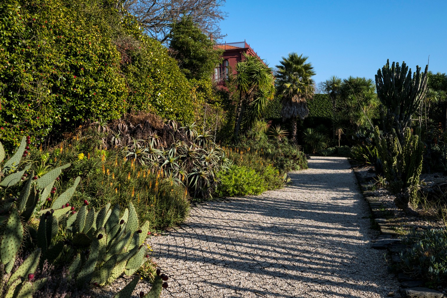 Botanical Garden - Gardens and Parks