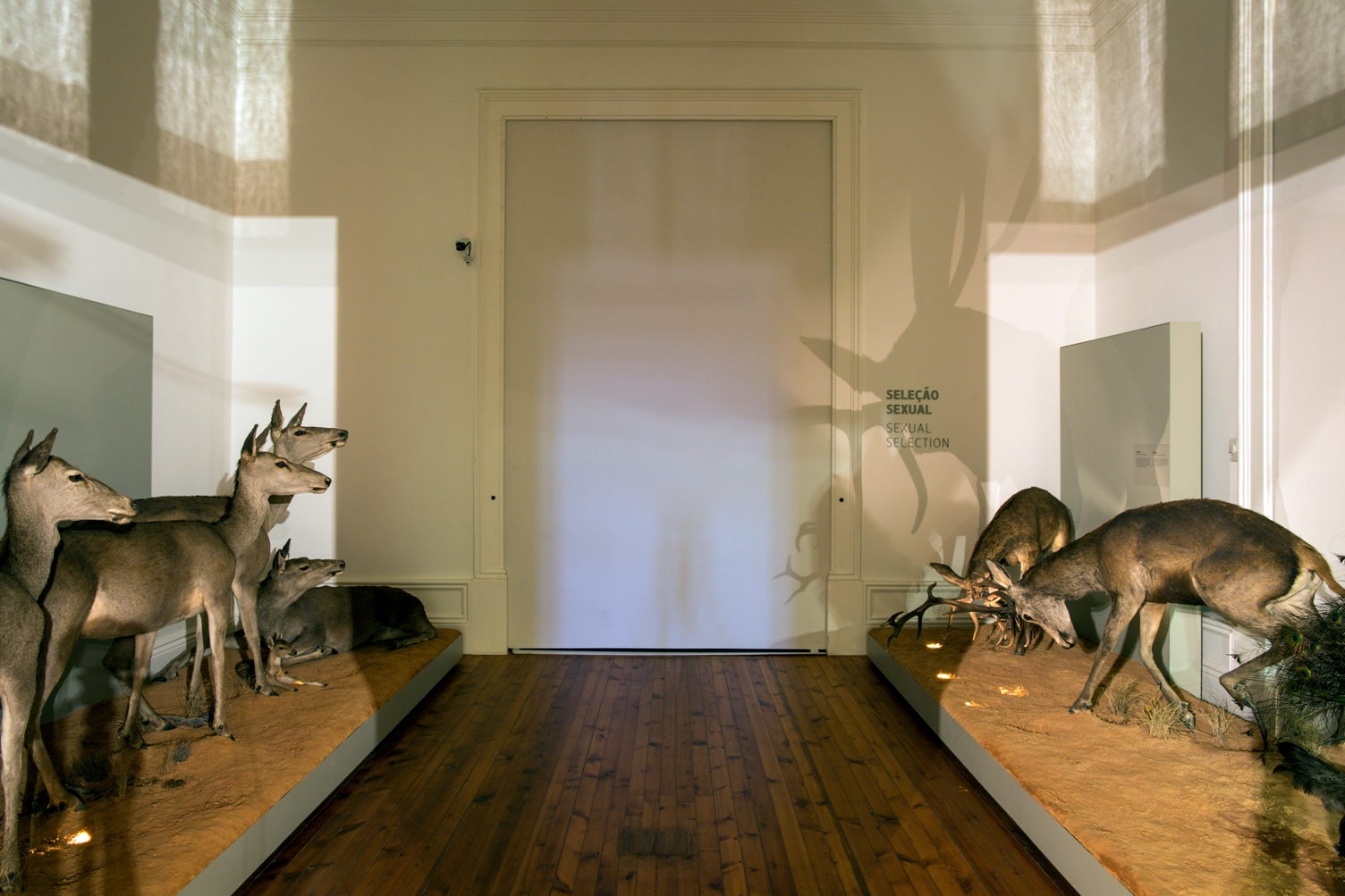 Biodiversity Gallery - Museums & Thematic Centres