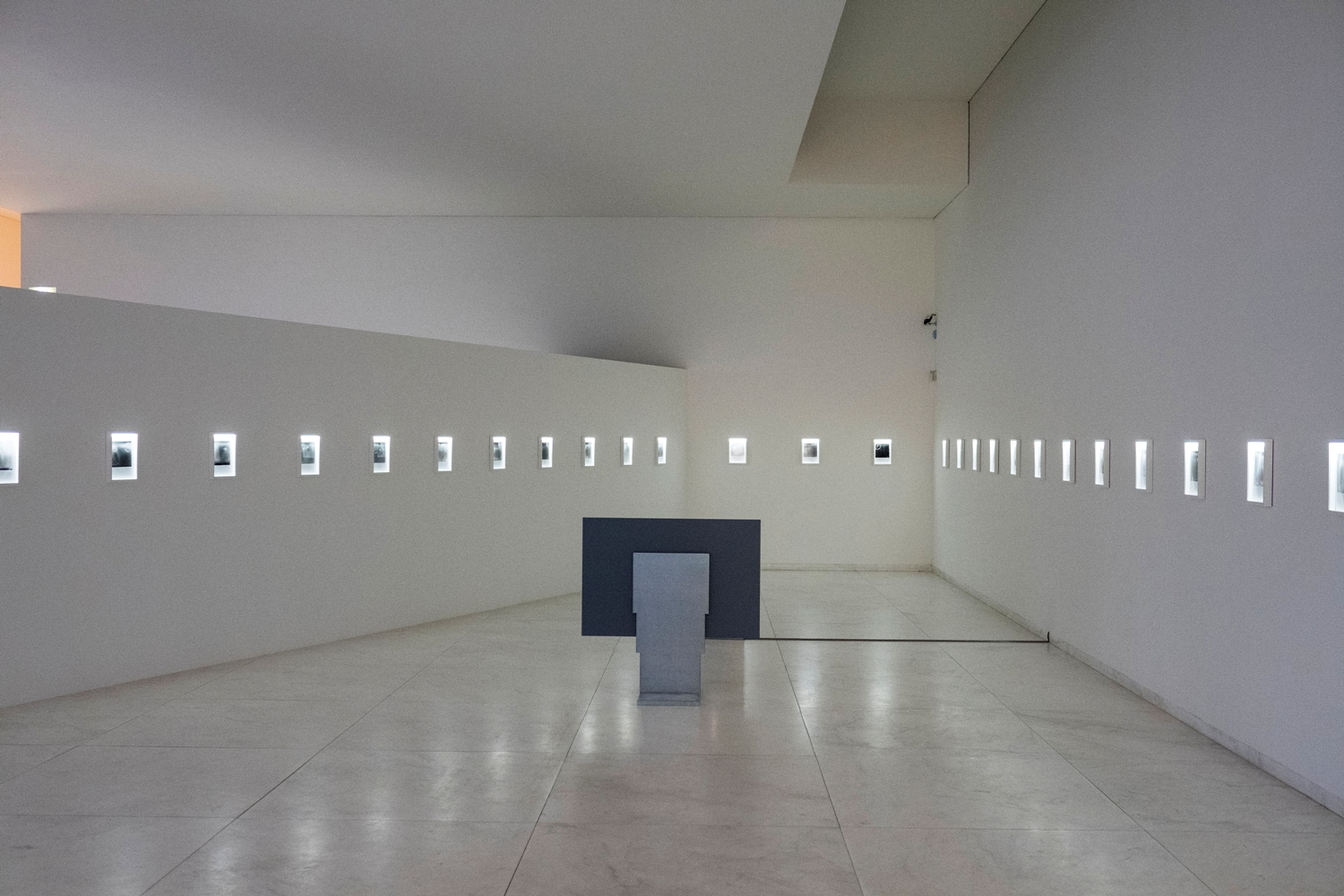 The Serralves Museum - Museums & Thematic Centres