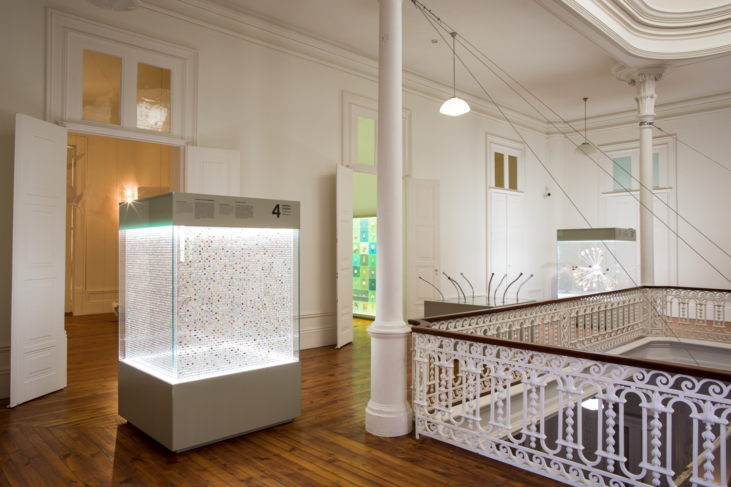 Biodiversity Gallery - Museums & Thematic Centres