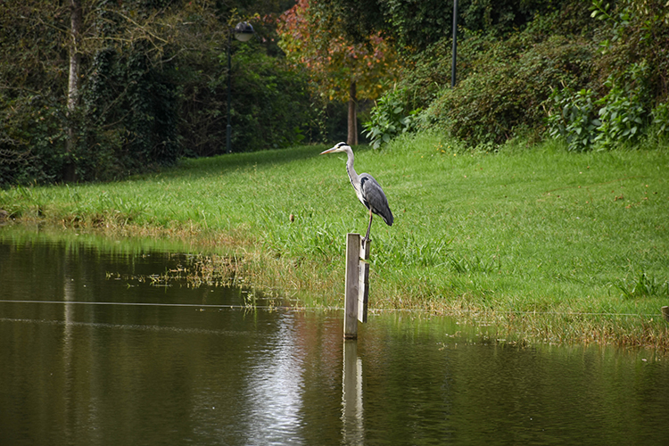 City Park - Gardens and Parks
