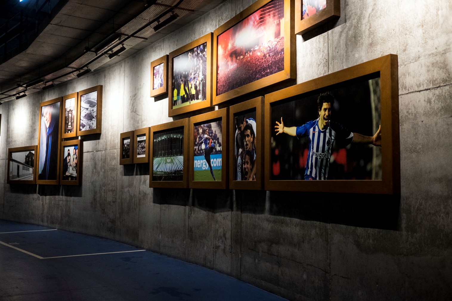 Estádio do Dragão & FC Porto Museum - Sports facility