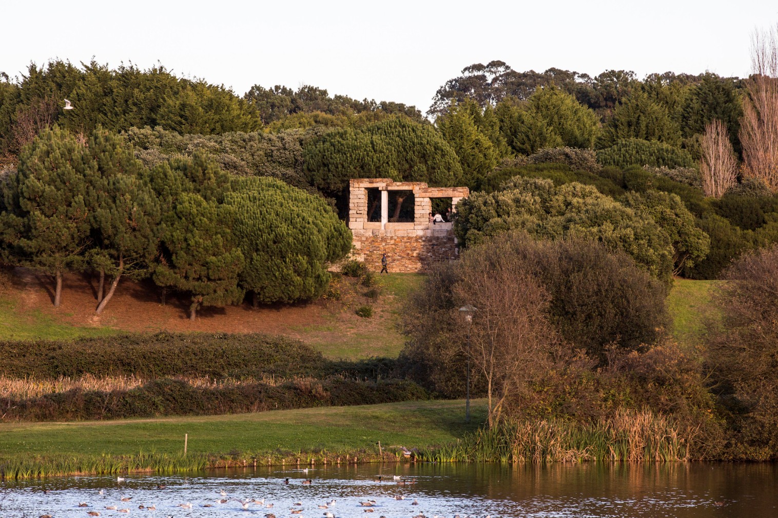 City Park - Gardens and Parks