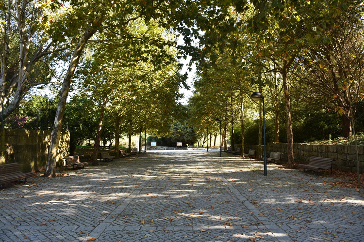 City Park - Gardens and Parks