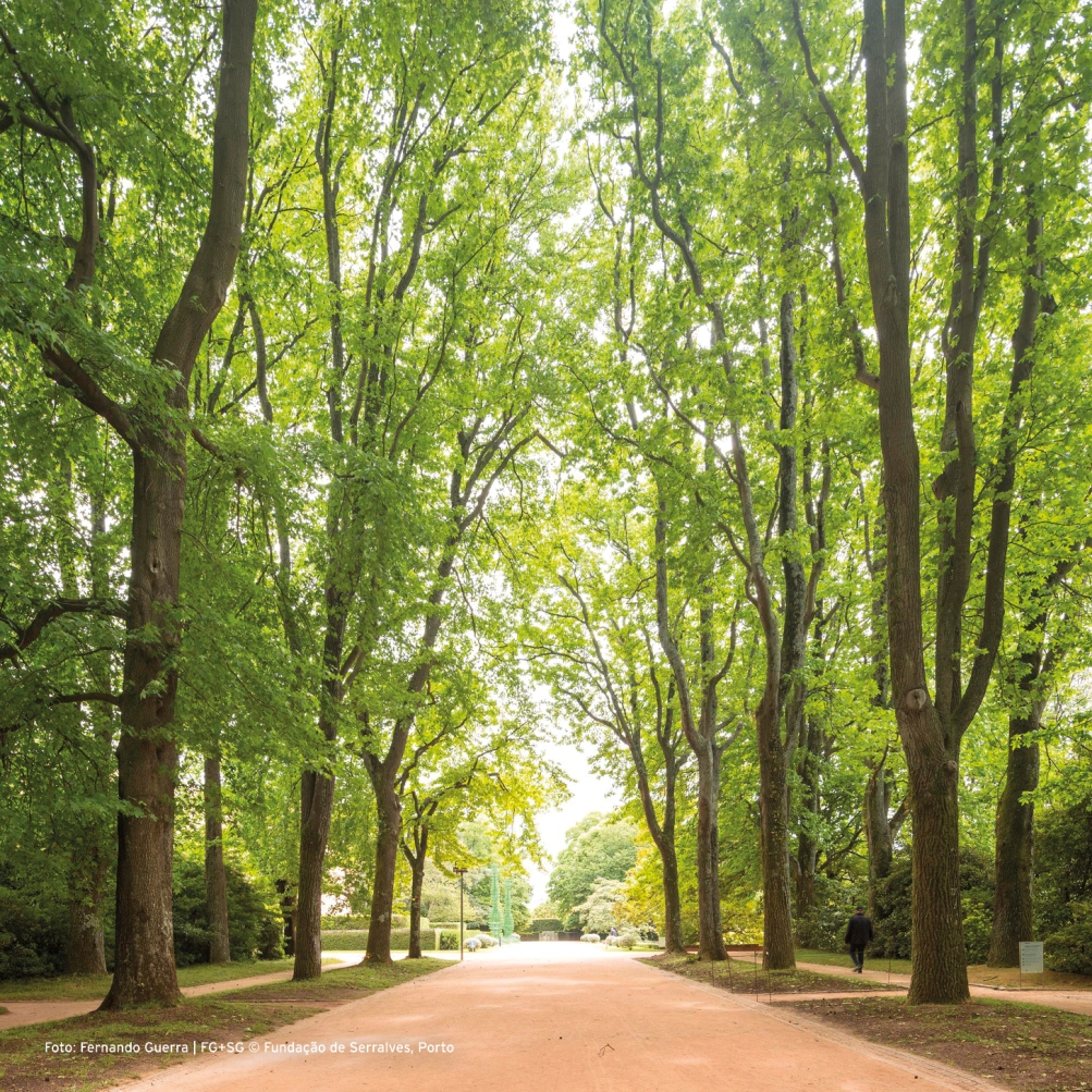 Serralves Park - Gardens and Parks