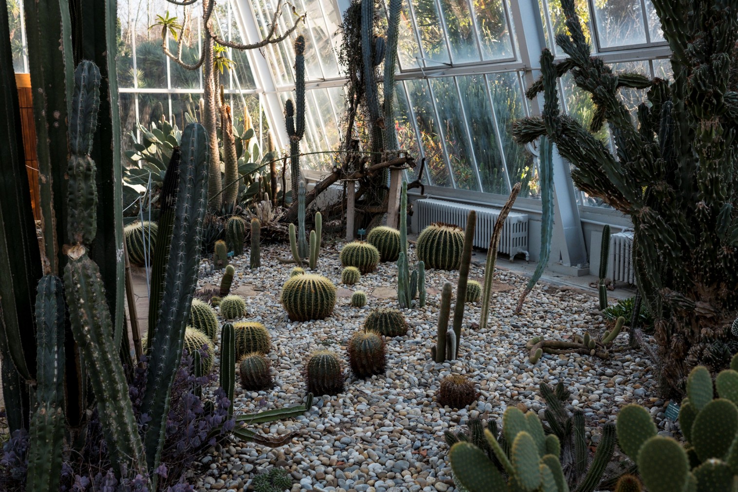 Botanical Garden - Gardens and Parks