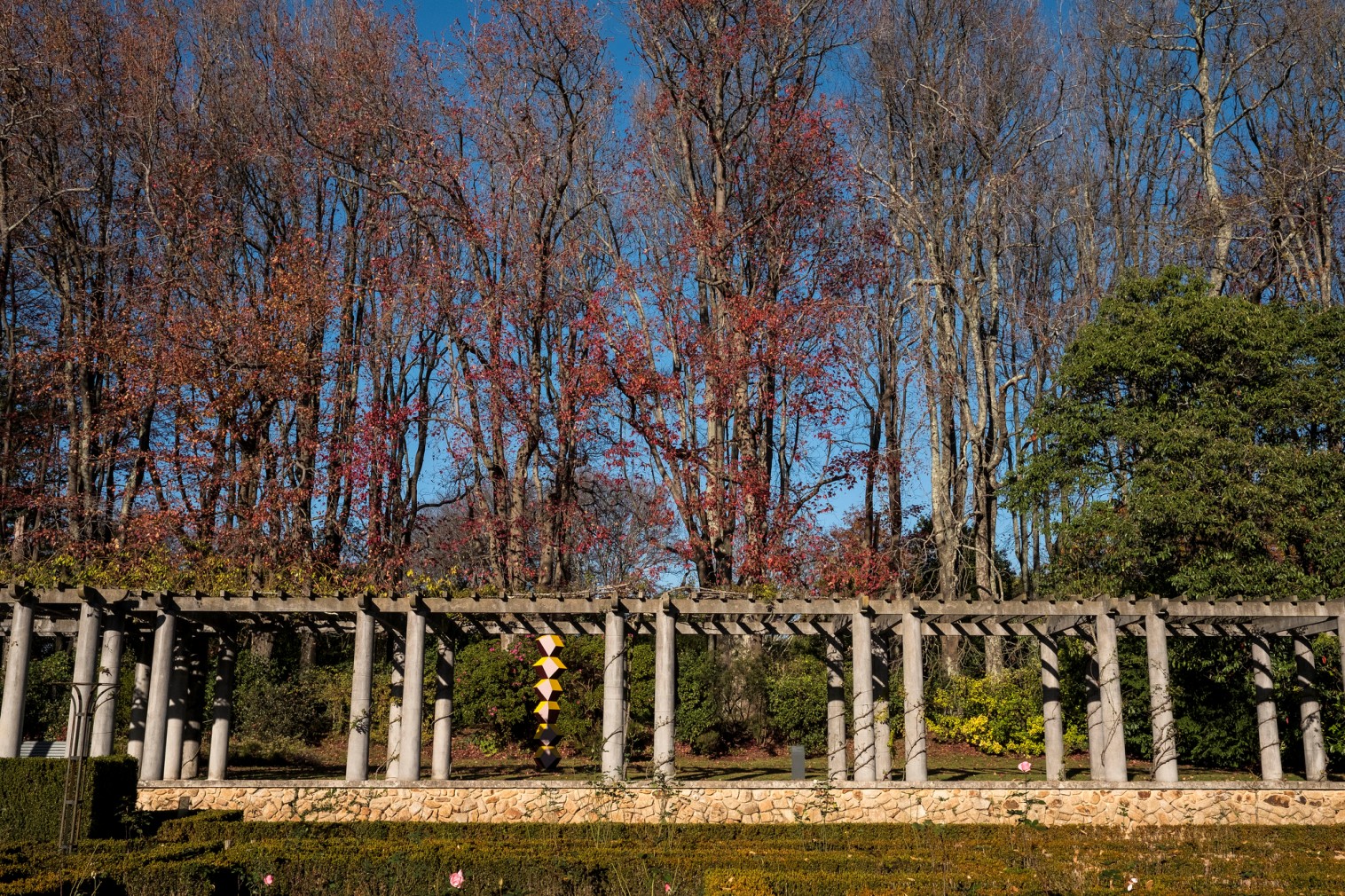 Serralves Park - Gardens and Parks