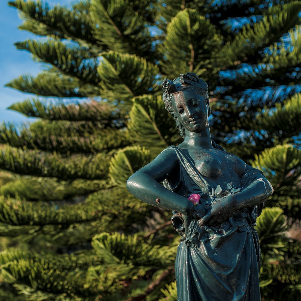 Palácio de Cristal Gardens - Gardens and Parks