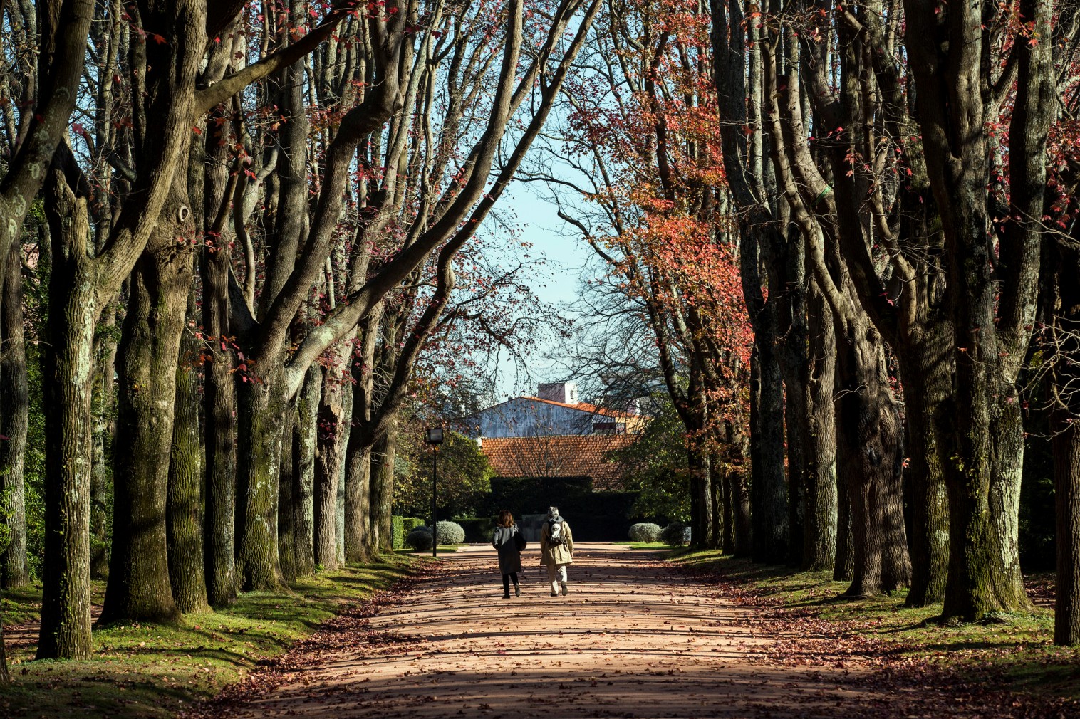 Serralves Park - Gardens and Parks