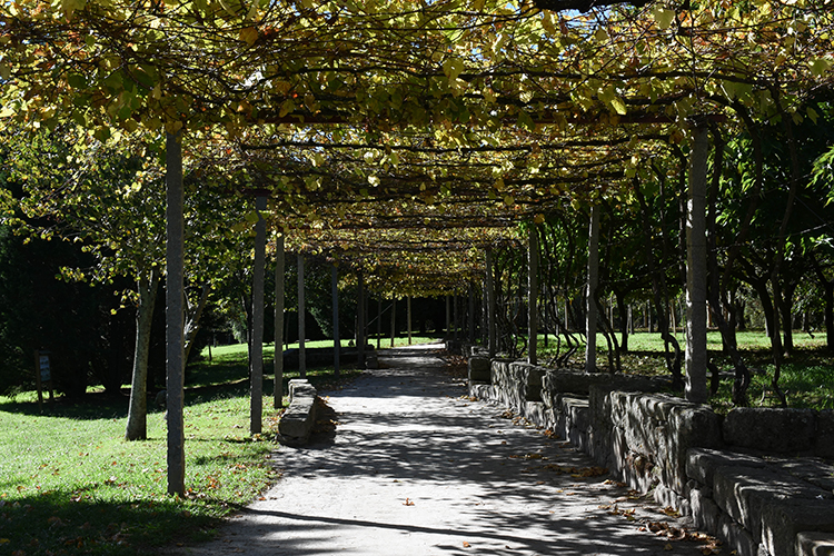 City Park - Gardens and Parks