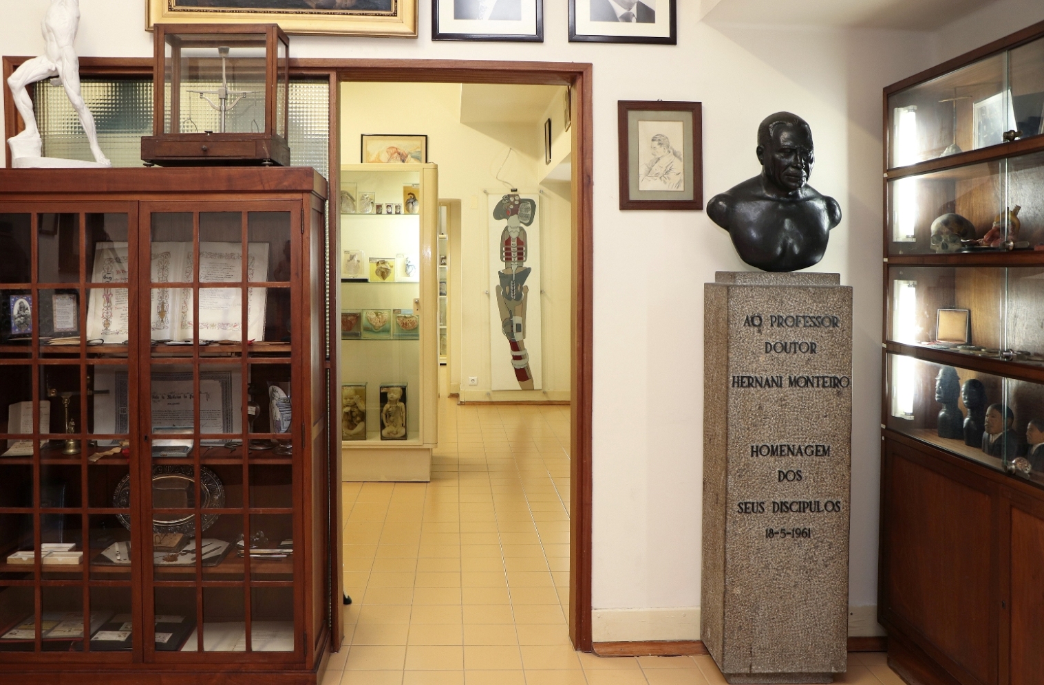 Museum of Anatomy of Porto´s University Faculty of Medicine - Museums & Thematic Centres