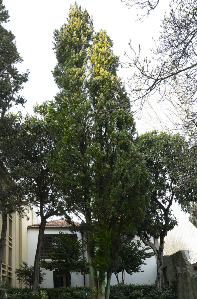 Ateliê António Carneiro - Museums & Thematic Centres