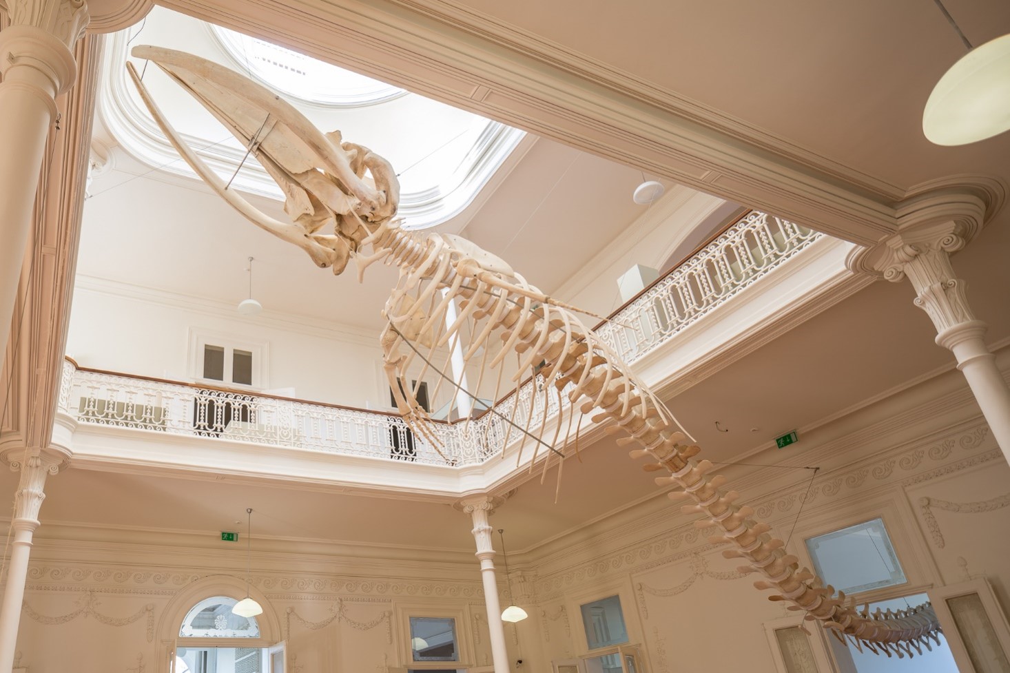 Biodiversity Gallery