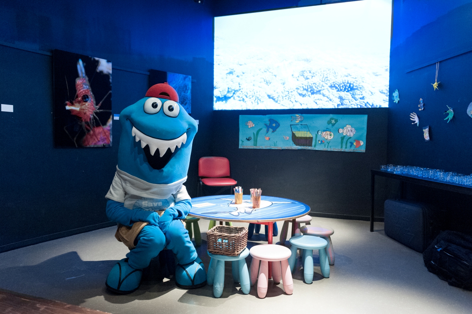 SEA LIFE Porto - Museums & Thematic Centres