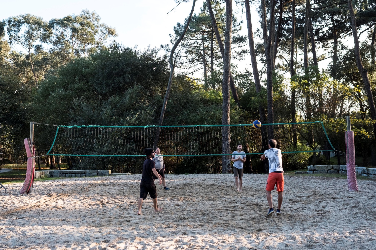 City Park - Gardens and Parks