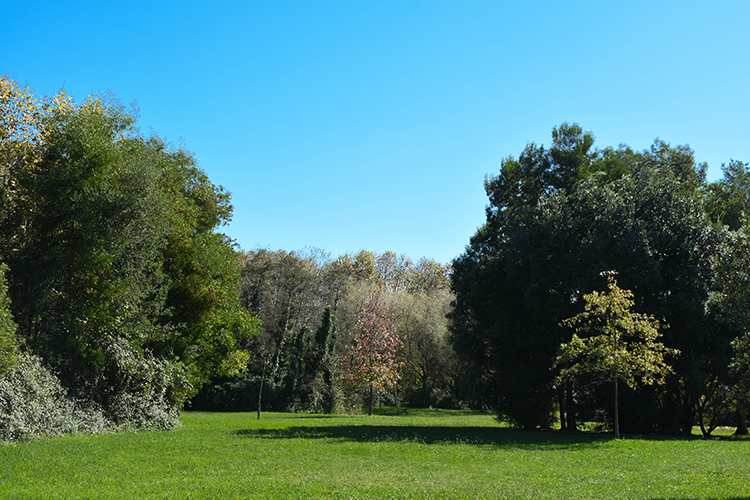City Park - Gardens and Parks