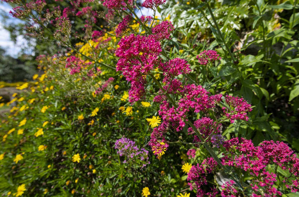 Museu Romântico - Museums & Thematic Centres