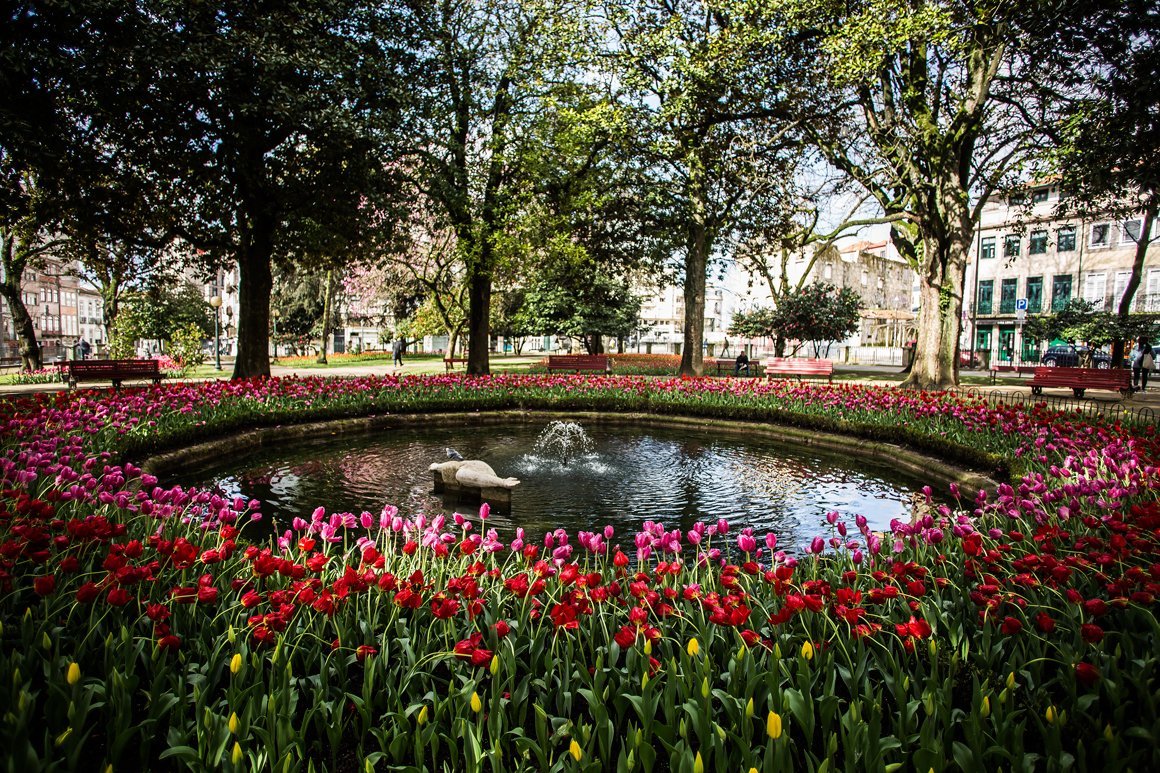 São Lázaro Garden - Gardens and Parks