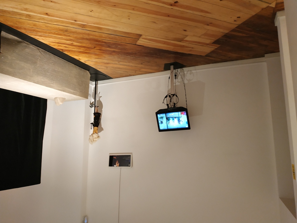 Museu das Marionetas do Porto - Museums & Thematic Centres