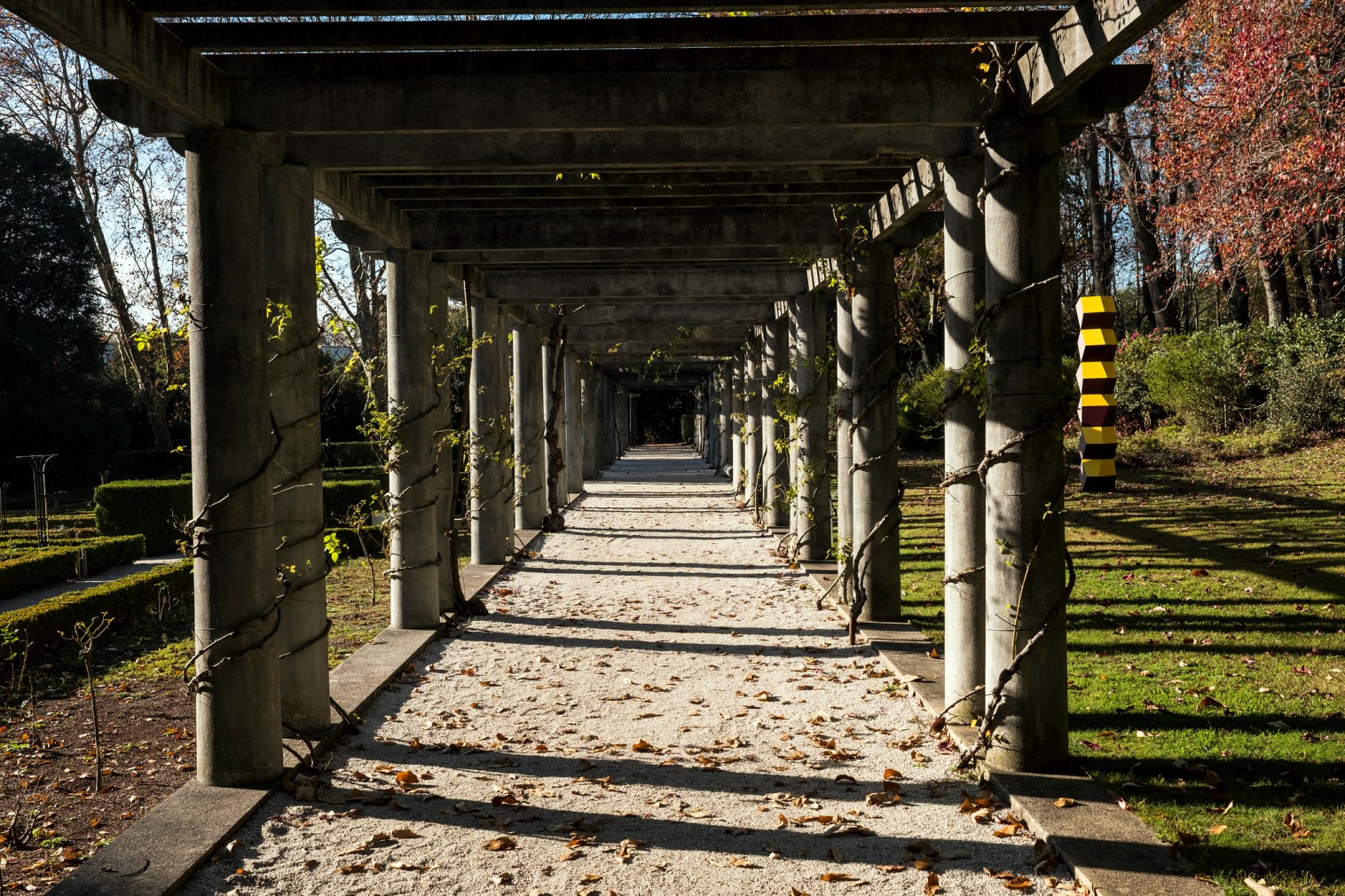 Serralves Park - Gardens and Parks