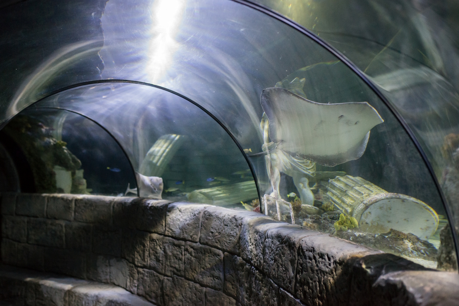 SEA LIFE Porto - Museums & Thematic Centres