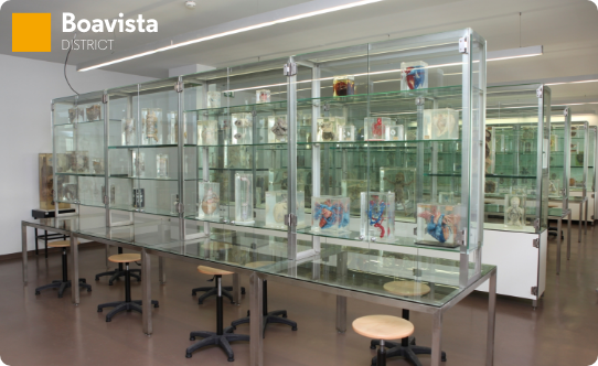 Museum of Anatomy of  Porto's University